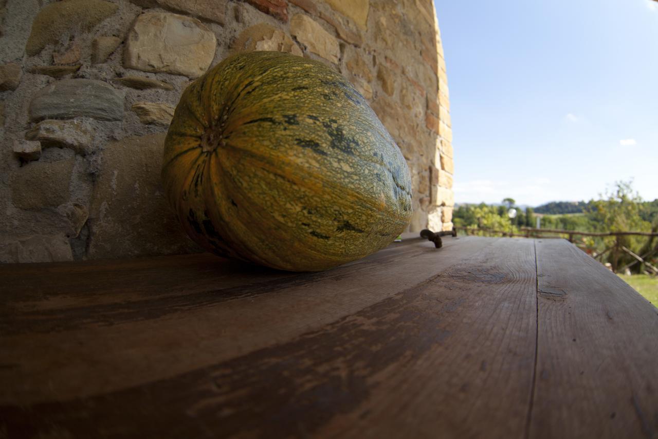Agriturismo San Fedele เปรูจา ภายนอก รูปภาพ
